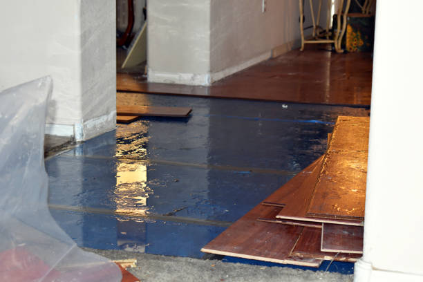 Professional Water Damage Restoration technician working in Giddings, TX